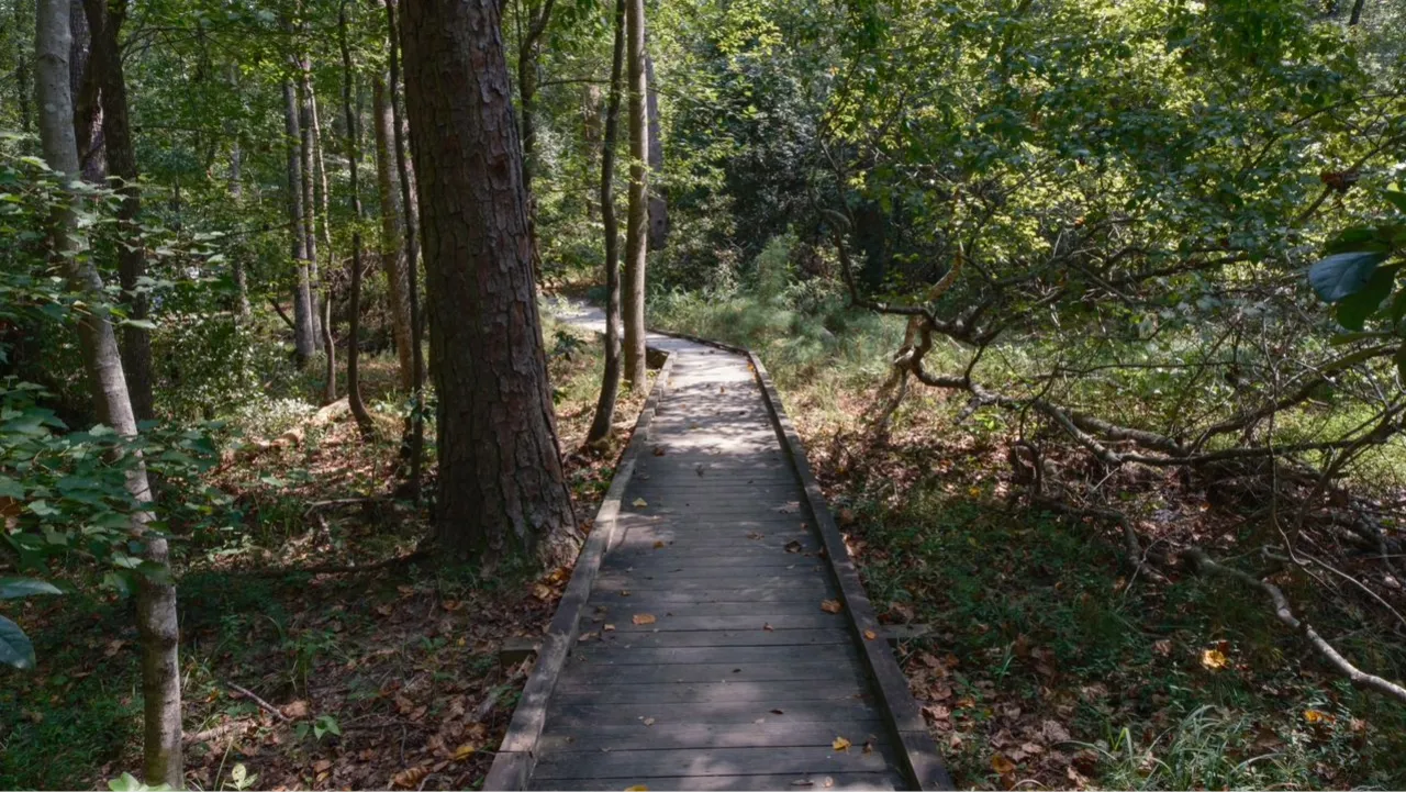 First Landing State Park