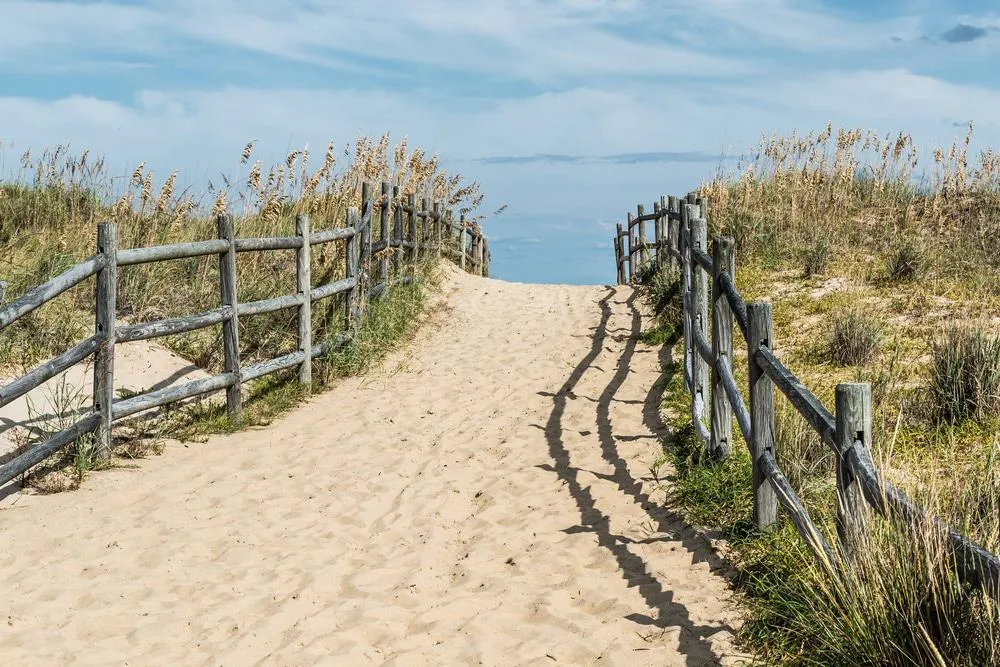 Beach Escapes: Unwinding on Virginia's Coastal Getaways, including Virginia Beach and Chincoteague Island