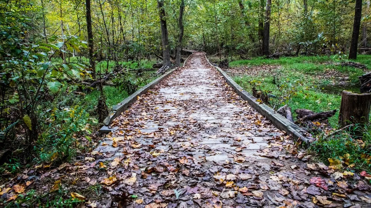 First Landing State Park