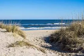Eco-Friendly Storage Practices: Sustainable Options for Virginia Residents