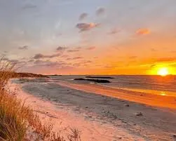 Beach Escapes: Unwinding on Virginia's Coastal Getaways, including Virginia Beach and Chincoteague Island