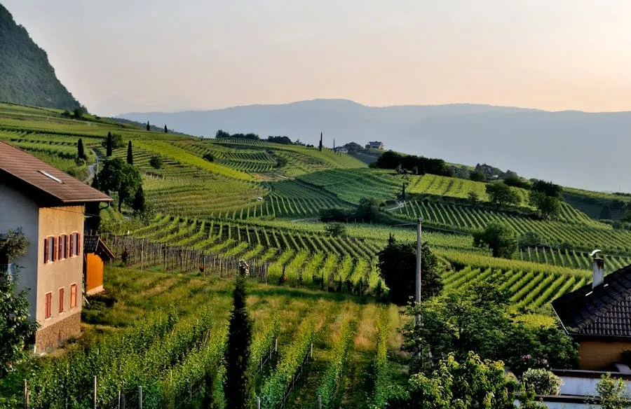 Virginia Wineries and Breweries