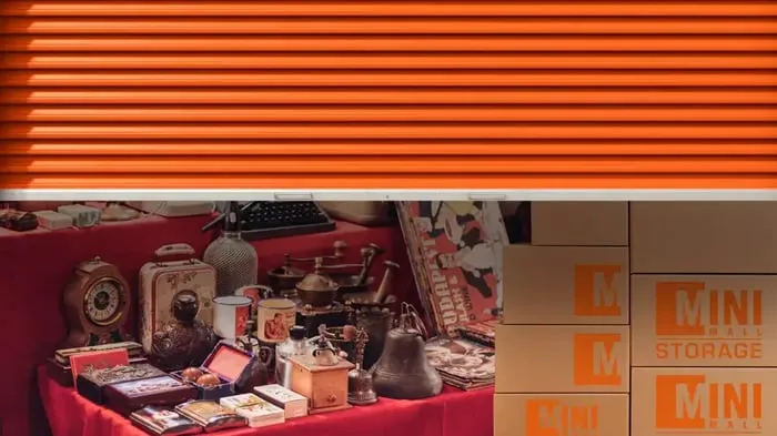 Climate-Controlled Storage for Antiques Roadshow Finds