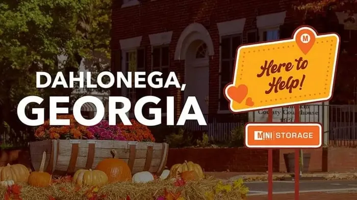 Moving to Dahlonega, Georgia \| A Guide