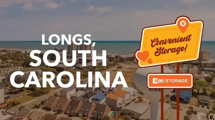 Adventure Through Longs, South Carolina