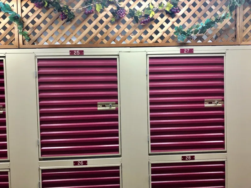 storage lockers for rent
