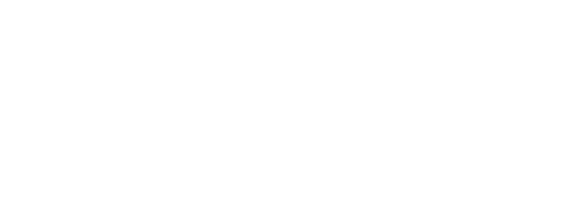 Leavesley Mini Storage White Logo