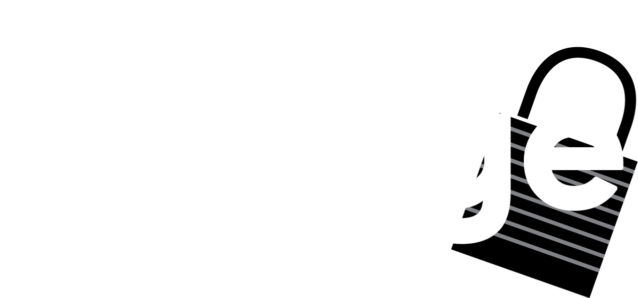 aaa storage logo