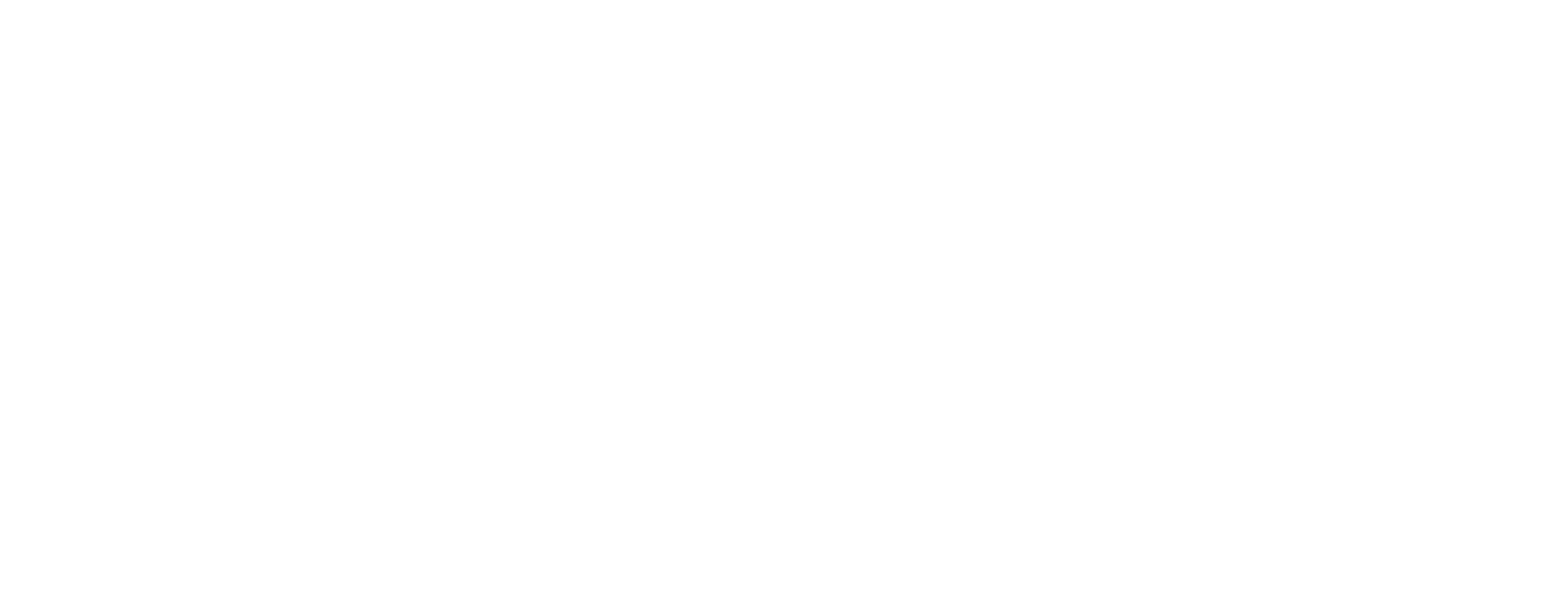 North Milpitas Self Storage Logo