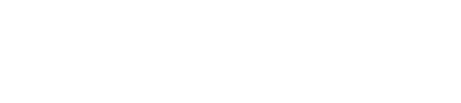 Expressway Self Storage Logo
