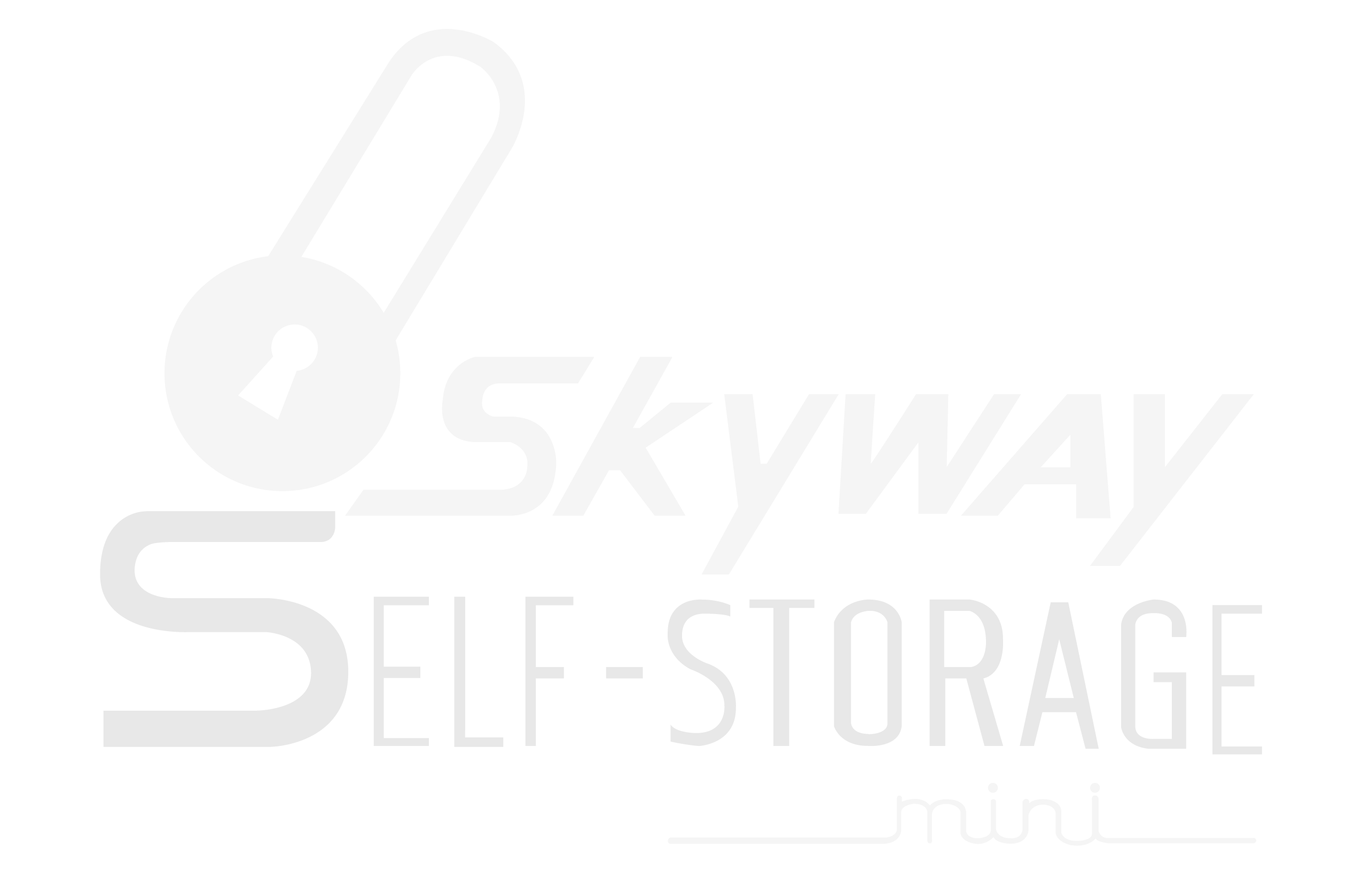 Skyway Self Storage Logo
